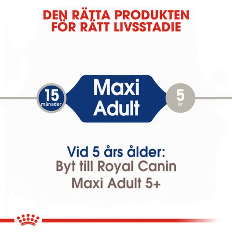 Maxi Adult kuivaruoka aikuisille suurille koirille