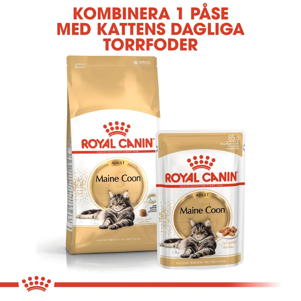 Maine Coon Adult kissan kuivaruoka