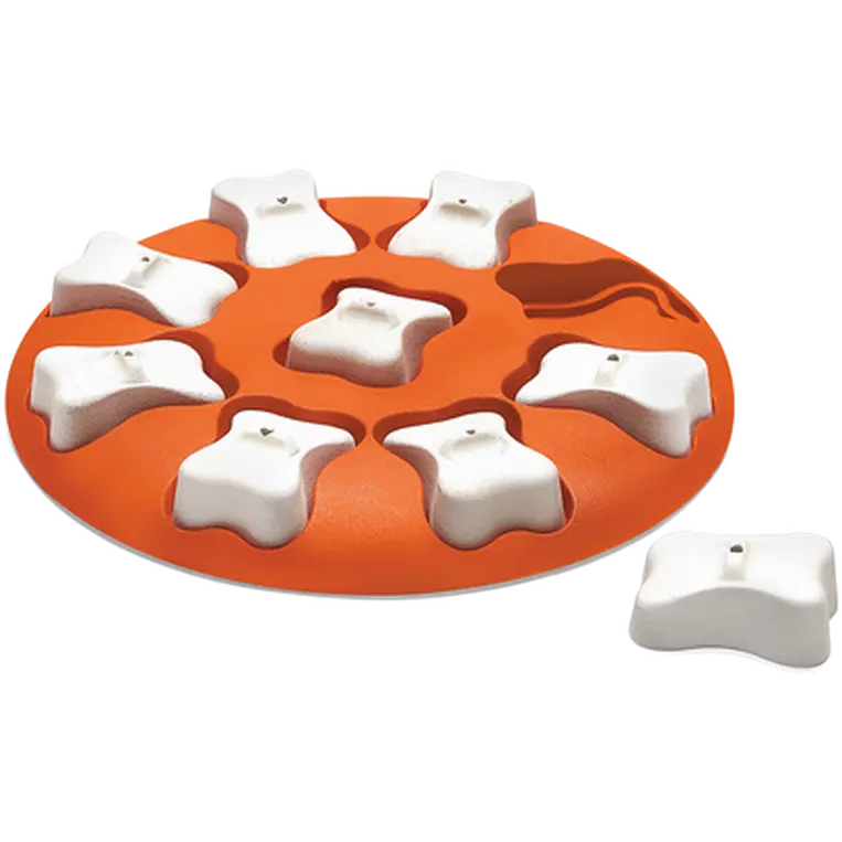 Dog Smart Plastic, Level 1 (Beginner) Orange 27 x 27 x 3,5 cm