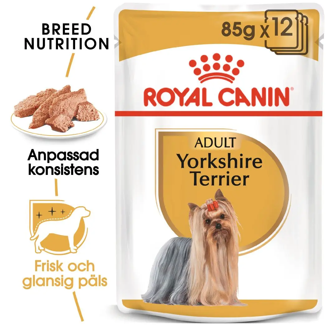 Yorkshire Terrier Adult Märkäruoka koirille