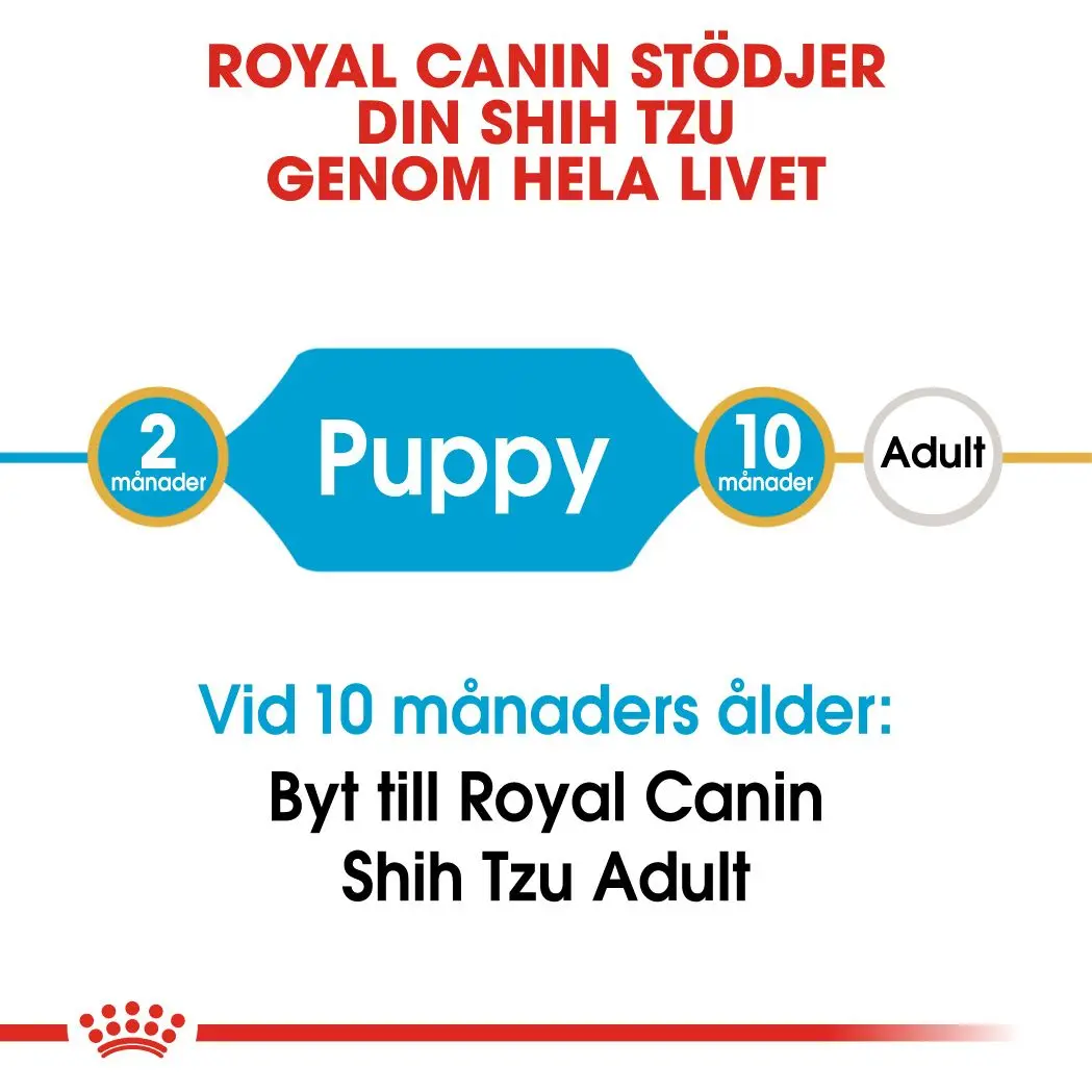 Shih Tzu Puppy Kuivaruoka pennuille