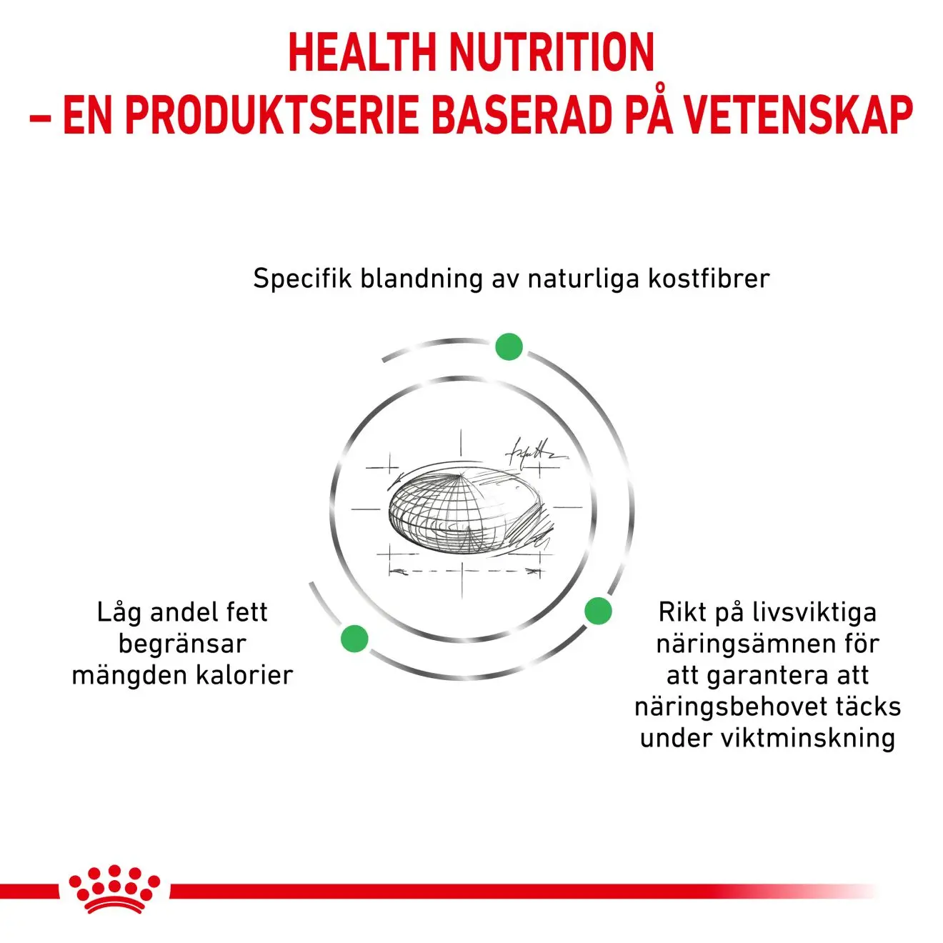 Weight Management Satiety kissan kuivaruoka