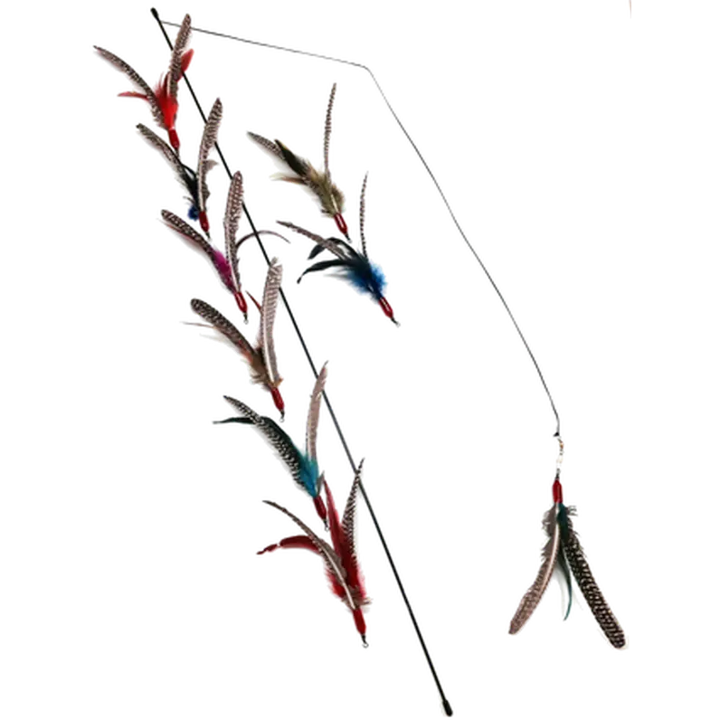Da Bird™ Cat Toy Kissan vapa