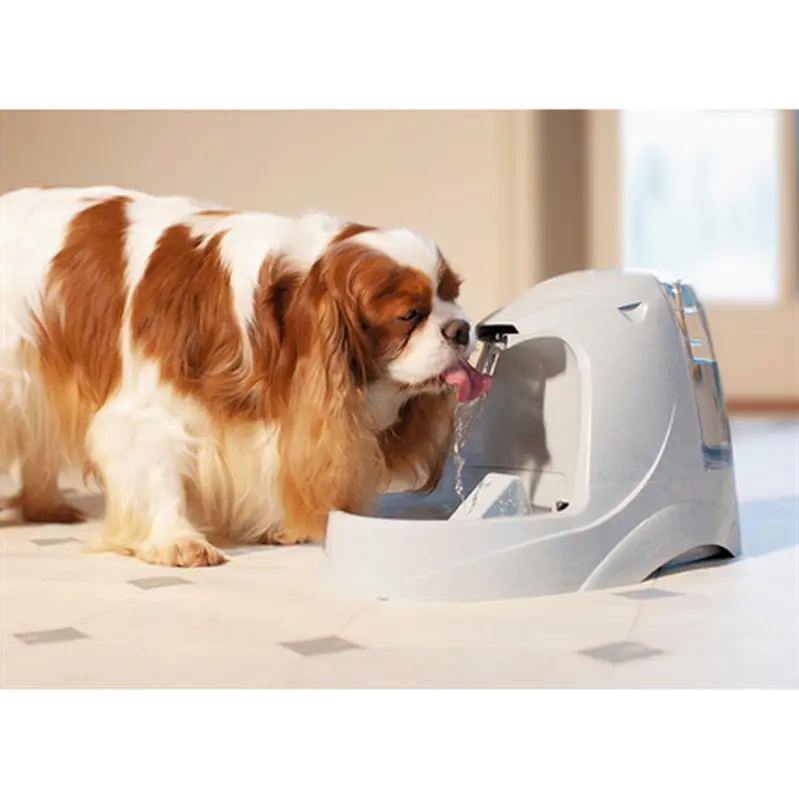 Petsafe Drinkwell Platinum Trinkbrunnen für Katzen und Hunde, 5 Liter