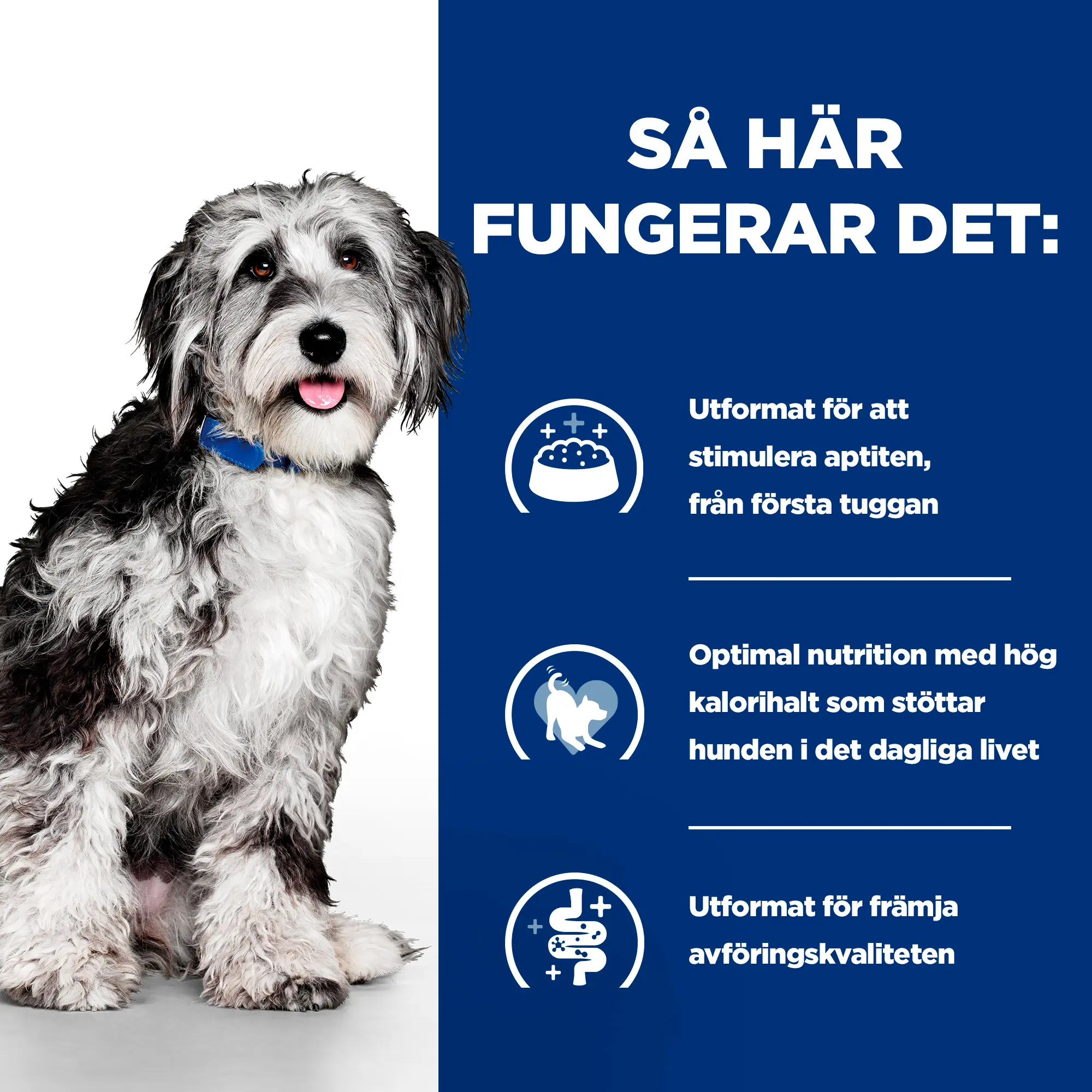 PD Canine ON-Care Kylling & Grønnsaksstuing