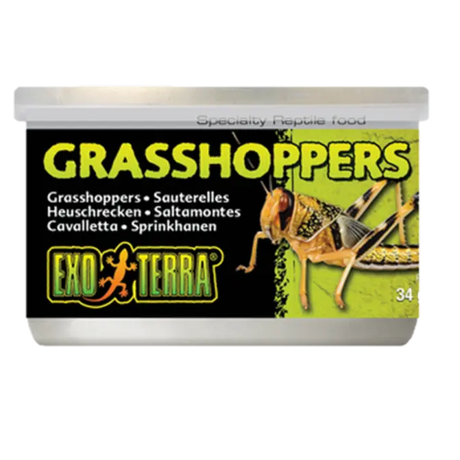 Grasshoppers - Hermetisert spesialfôr for reptiler Svart 35 g
