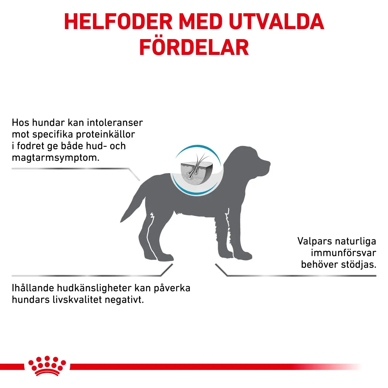 Derma Hypoallergenic Puppy Kuivaruoka pennuille.