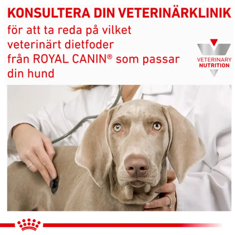 Derma Skin Care Small Dog kuivaruoka koirille