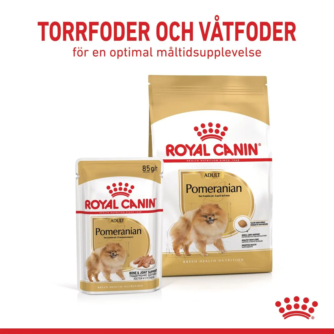 Pomeranian Adult Dry food koirille