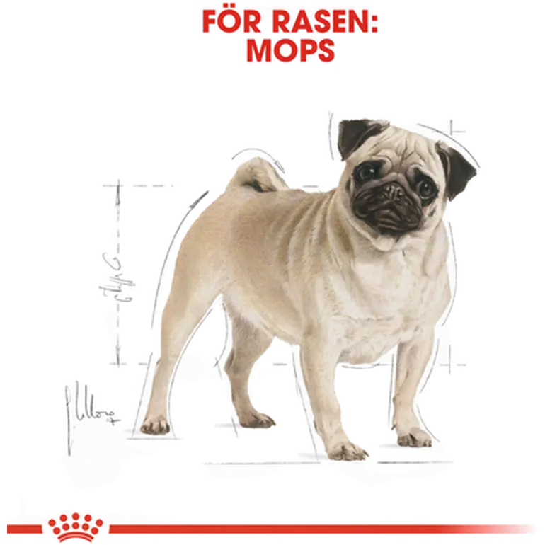 Pug Adult Torrfoder för hund