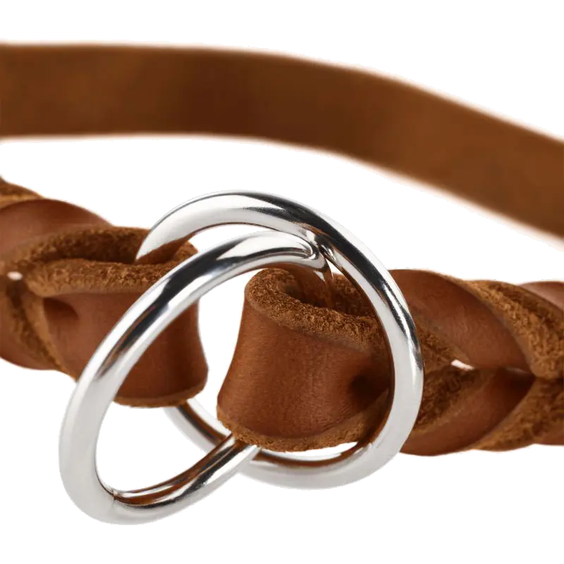 Hundhalsband Ställbart Solid Education Halvstryp Cognac