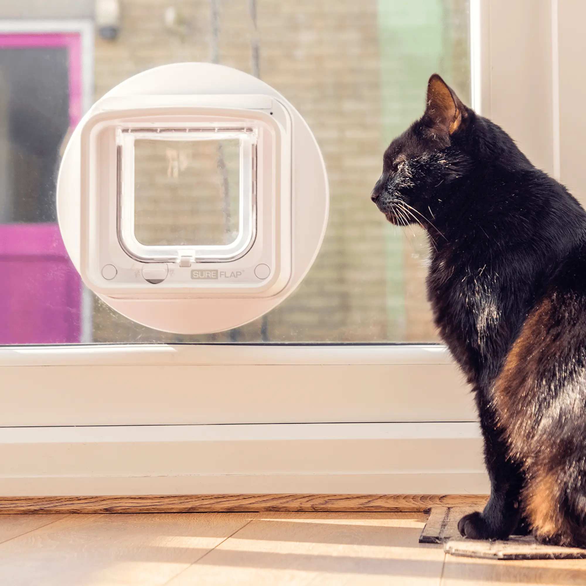 Microchip Cat Flap Connect - Kattlucka + Hub