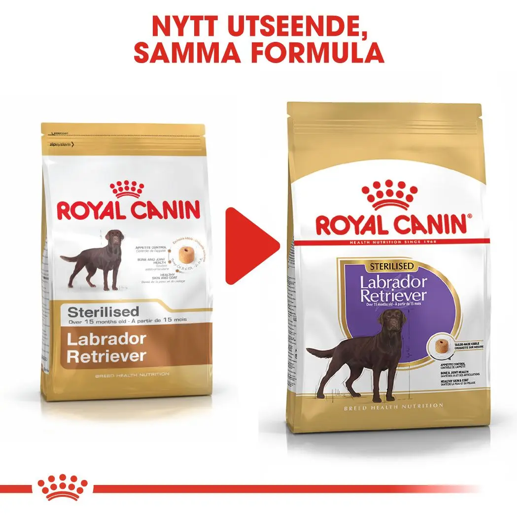 Labradorinnoutaja steriloitu aikuisten kuivaruoka