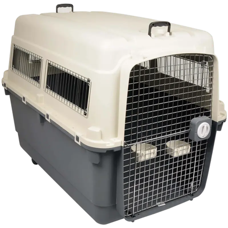 Aviation Carrier Flygbur