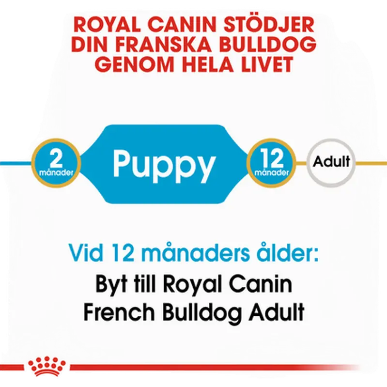 French Bulldog Puppy Kuivaruoka Ranskanbulldogille