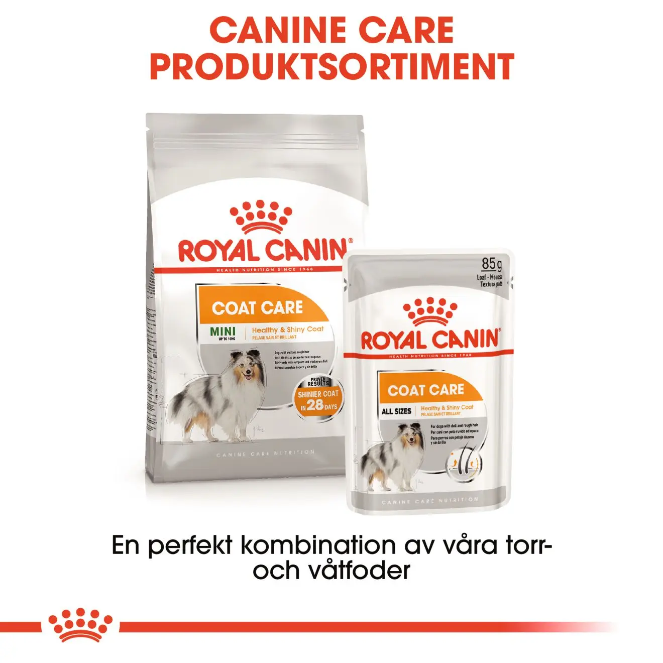 Coat Care Loaf Märkäruoka koirille