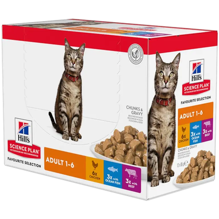 Adult Chicken Ocean Fish Beef Pouch - Wet Cat Food 85 g x 12 st - Pouch