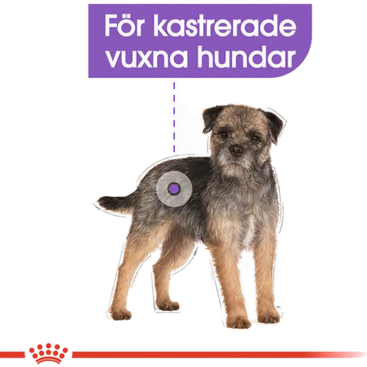 Sterilised Adult Mini Torrfoder för hund