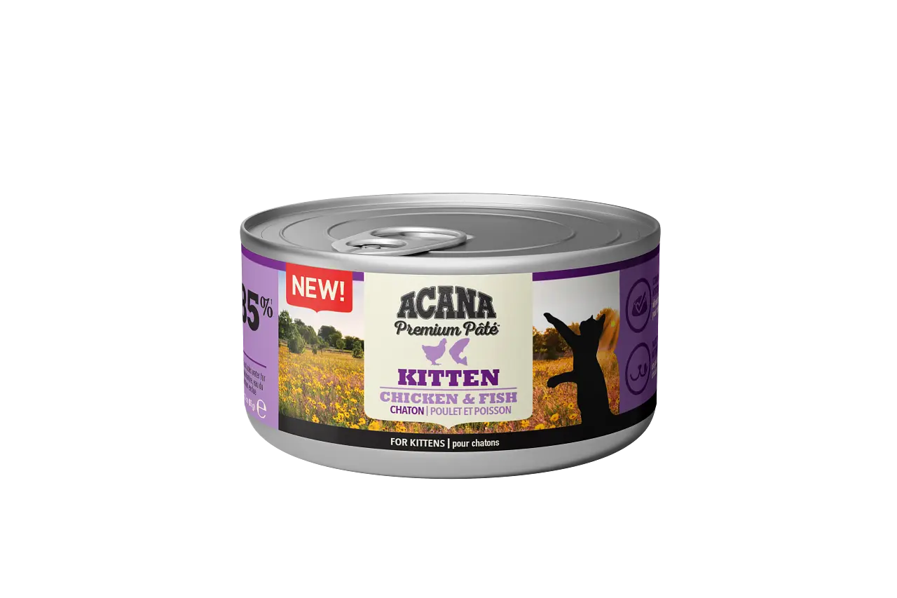 Cat Premium paté Kitten Chicken/ Fish 85 g