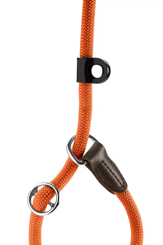 Leash Retriever Freestyle