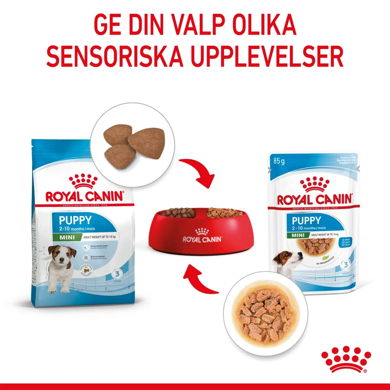 Mini Puppy Märkäruoka pennuille