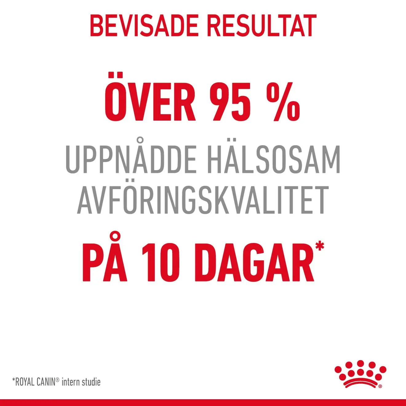 Digestive Care Adult kissan kuivaruoka