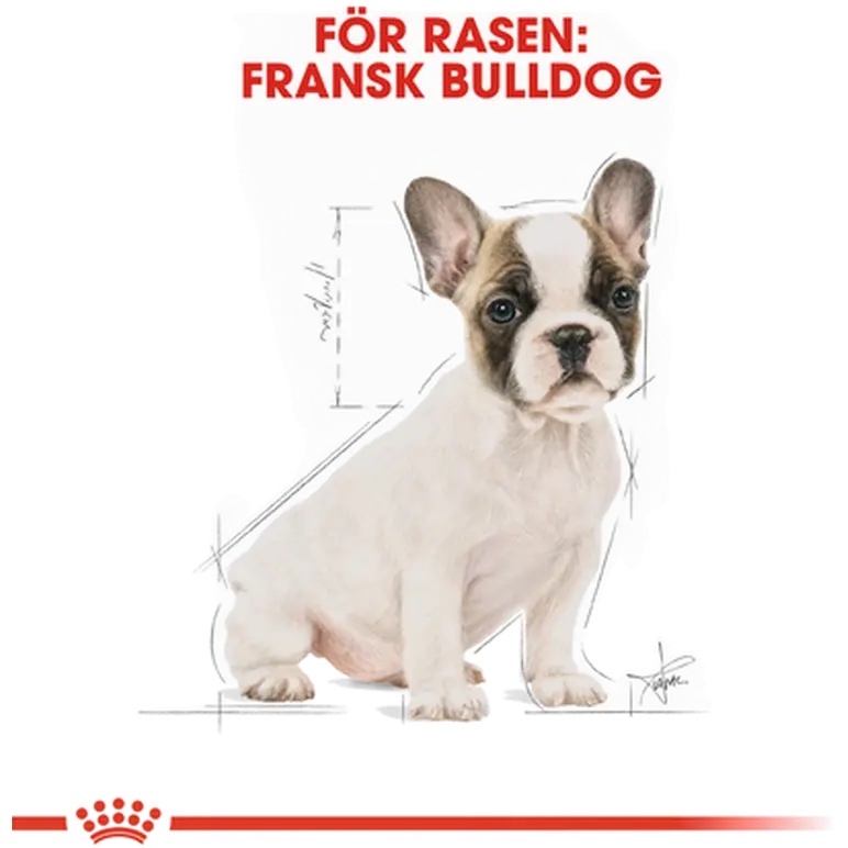 French Bulldog Puppy Kuivaruoka Ranskanbulldogille