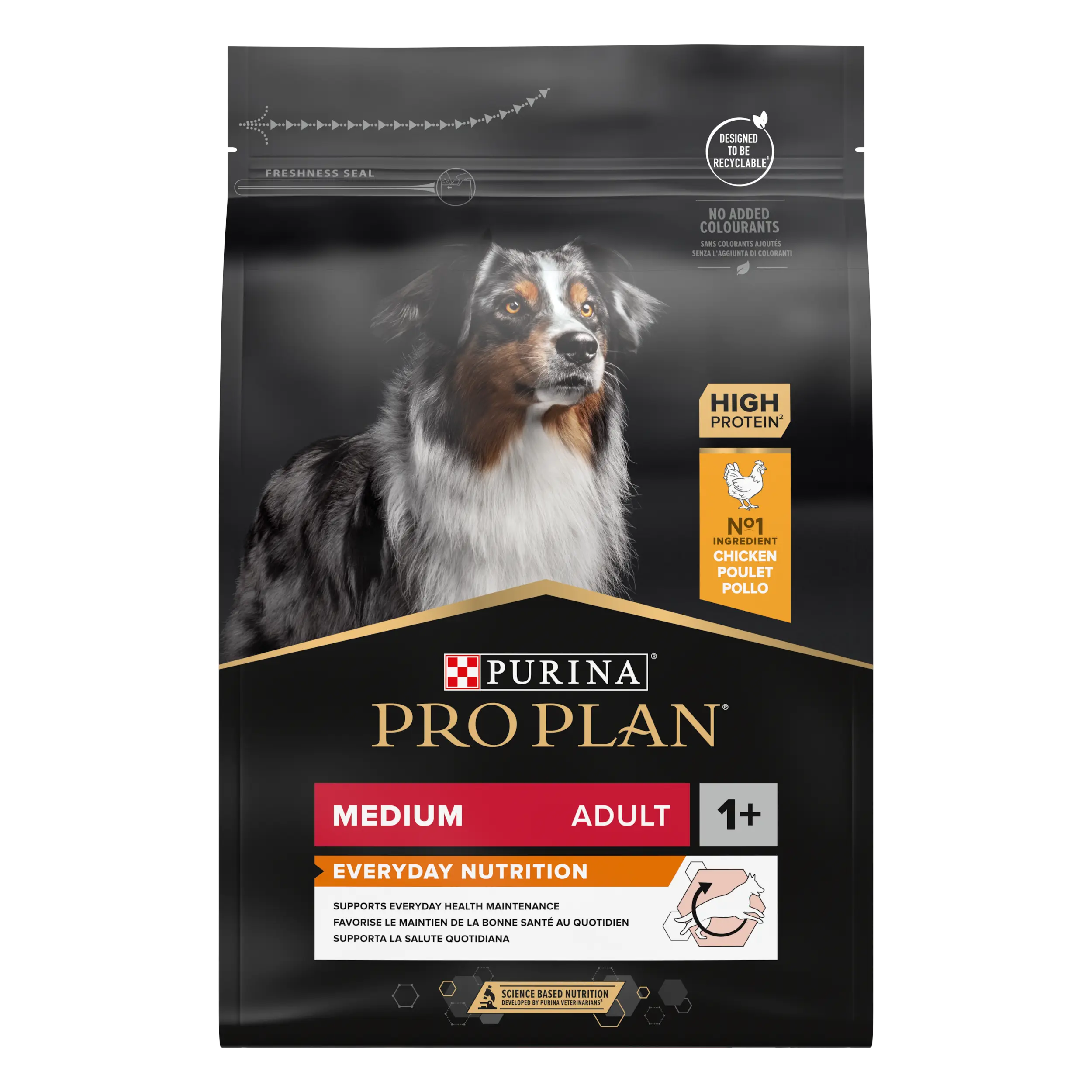 Medium Adult - EVERYDAY NUTRITION 3 kg