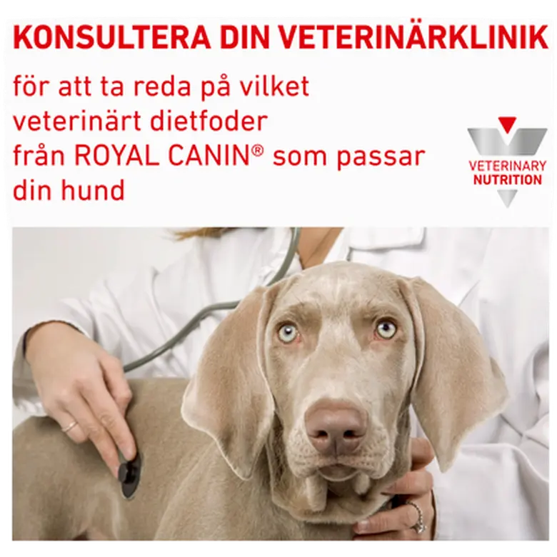 Urinary U/C Low Purine Kuivaruoka koirille