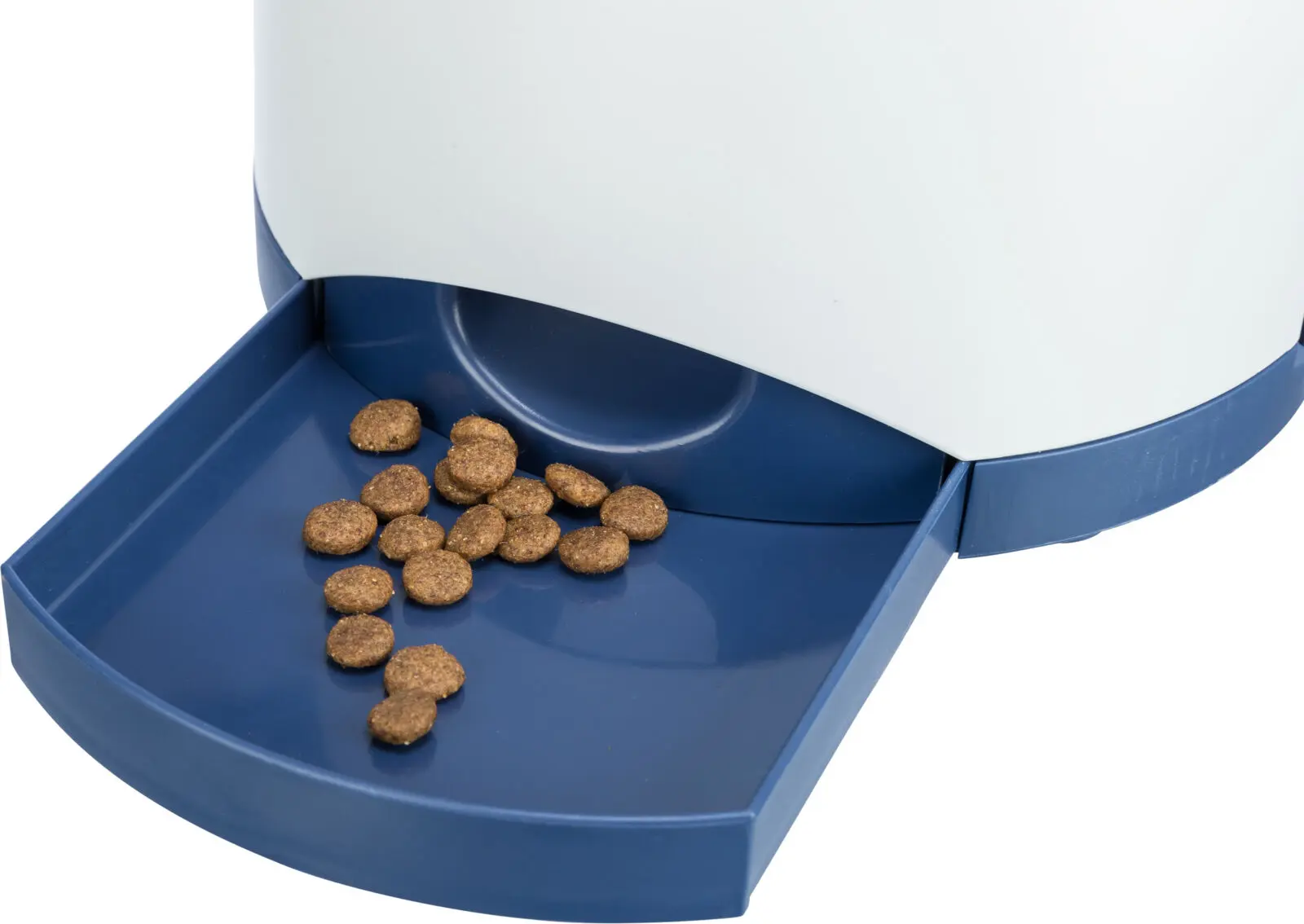 Dog Activity Memory Trainer Strategy Game