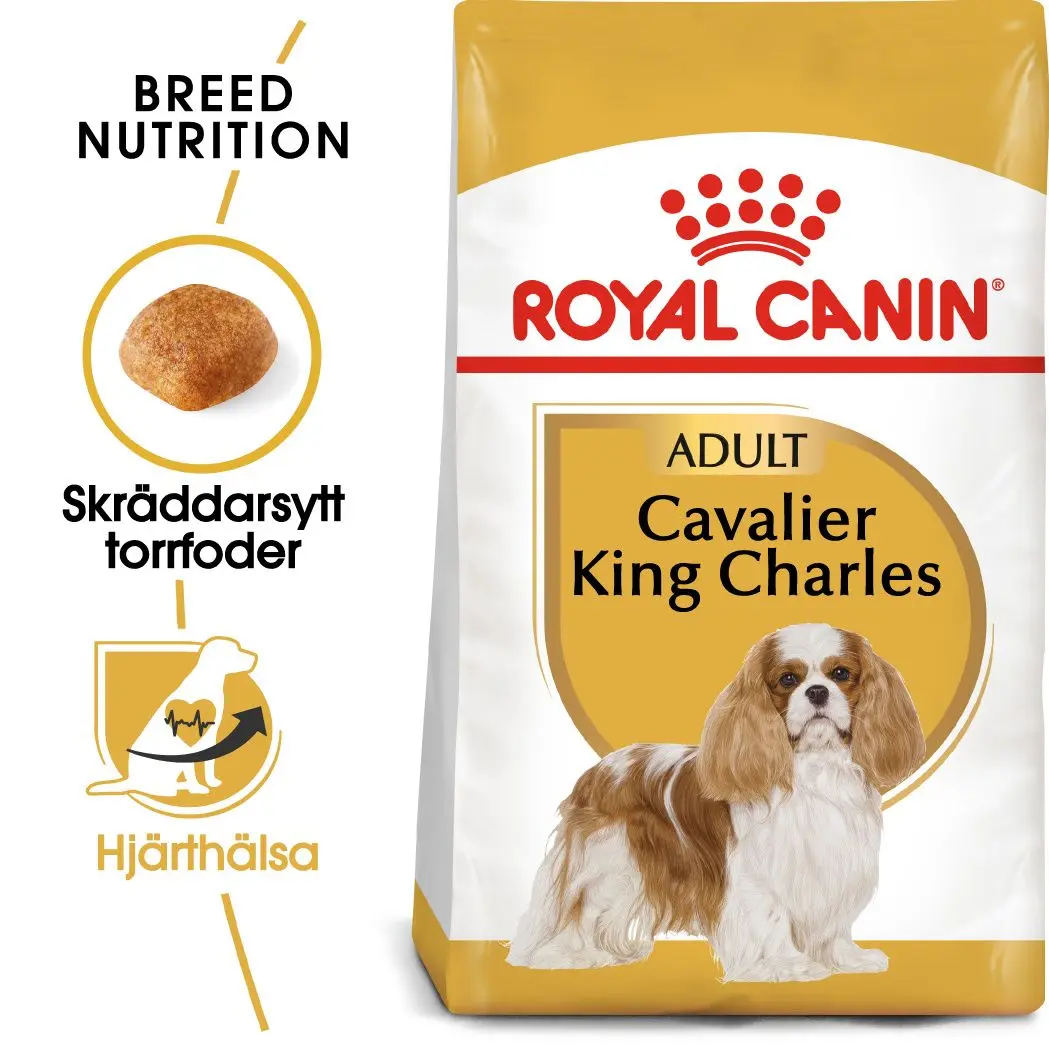 Cavalier King Charles Adult Kuivaruoka koirille