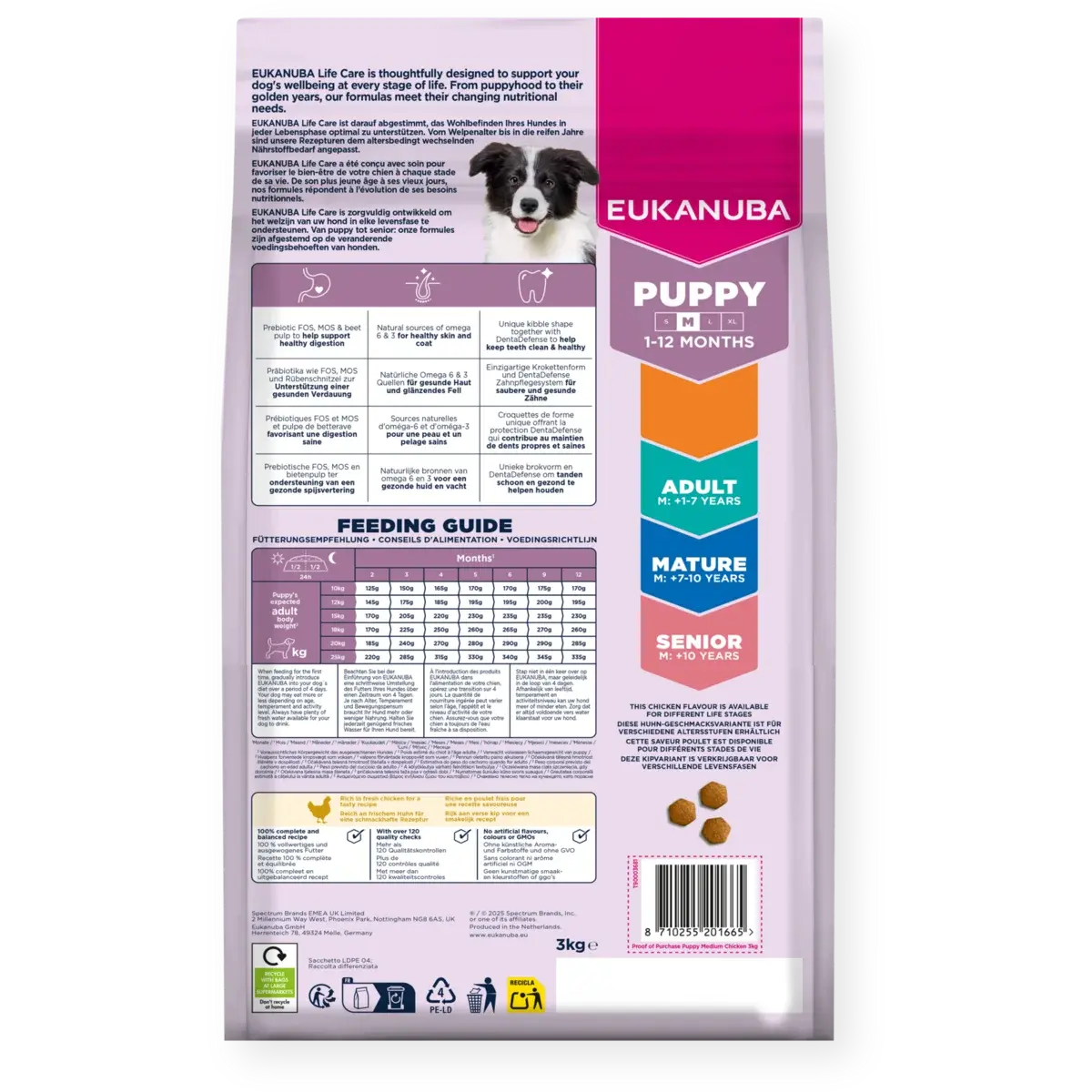 Dog Puppy Medium Breed