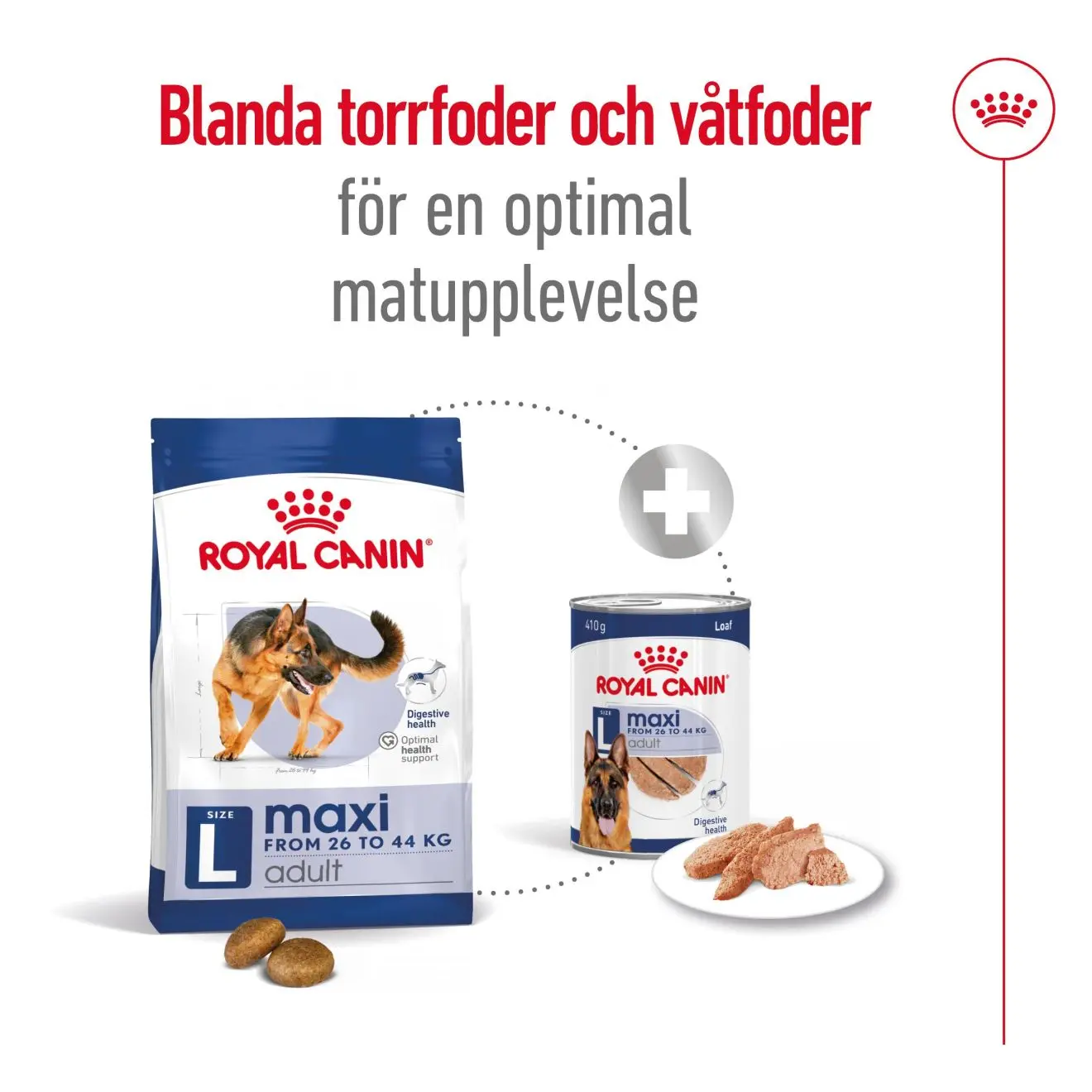 Maxi Adult kuivaruoka aikuisille suurille koirille