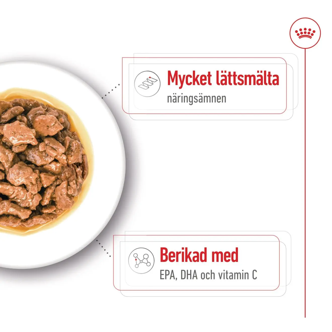 X-Small Adult Gravy Märkäruoka koirille