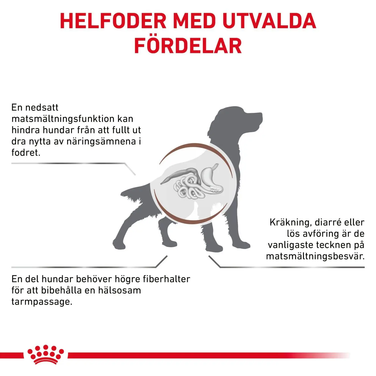 Gastrointestinal High Fibre Loaf vådfoder til hund