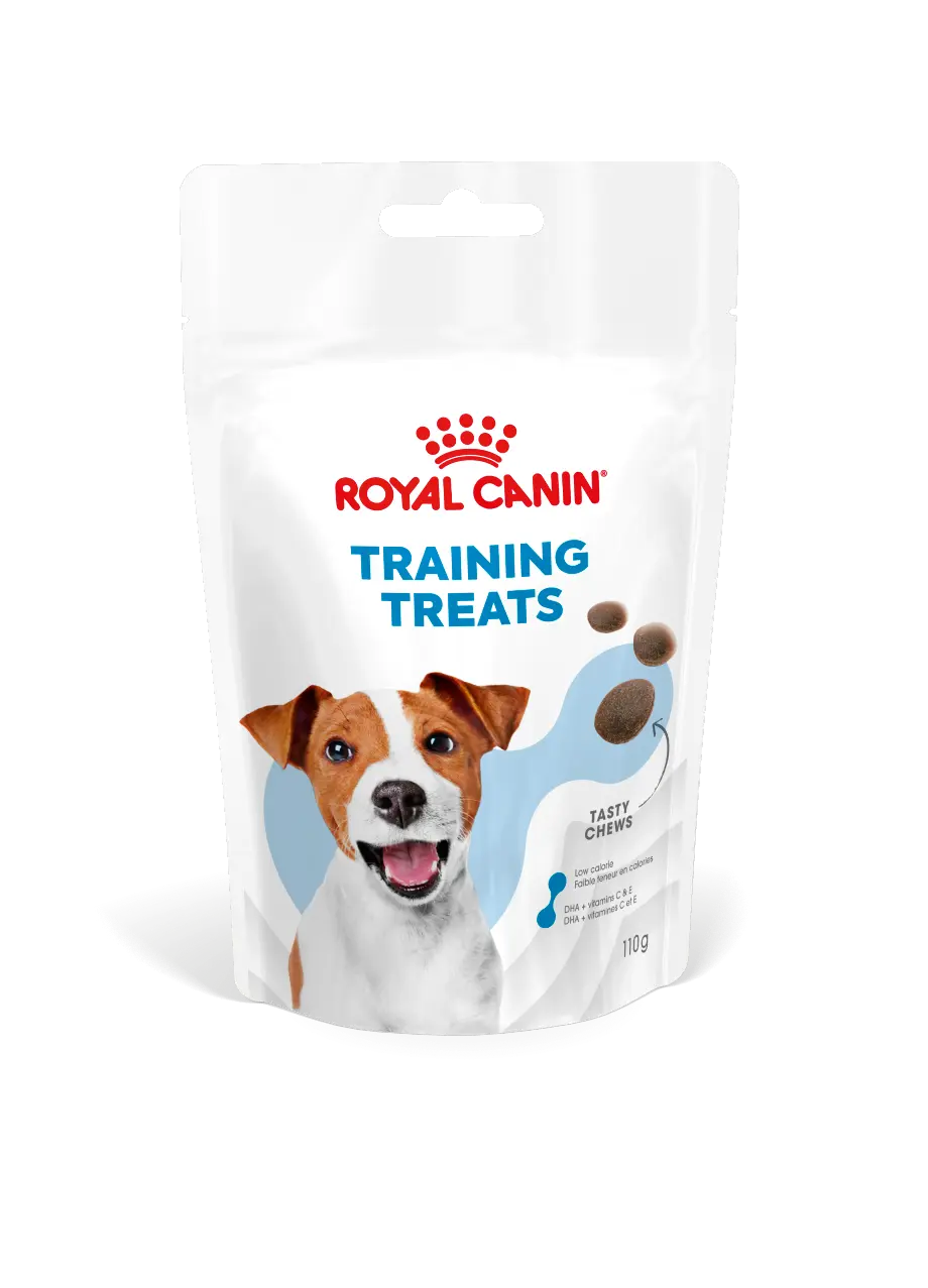 Training Treats 110 g