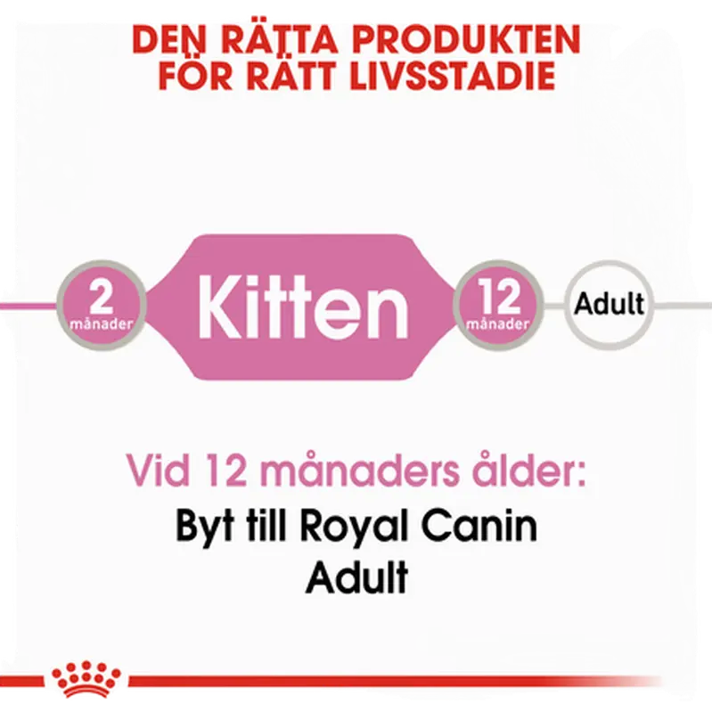 Kitten Gravy kissanpennun märkäruoka