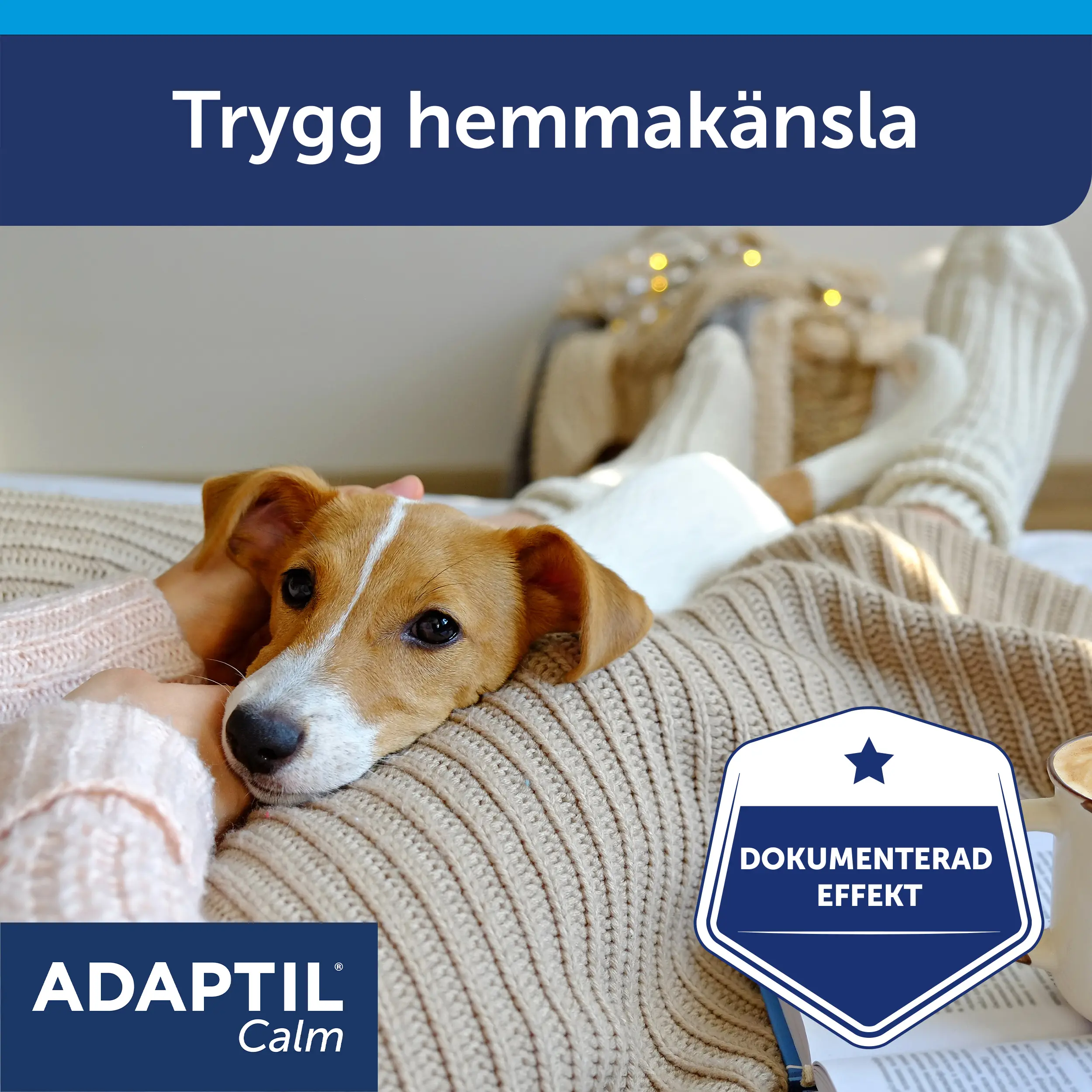 Calm Refill - Haihdutin Täyttöpakkaus
