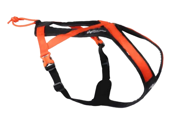 Rush harness Nr 1 black/orange