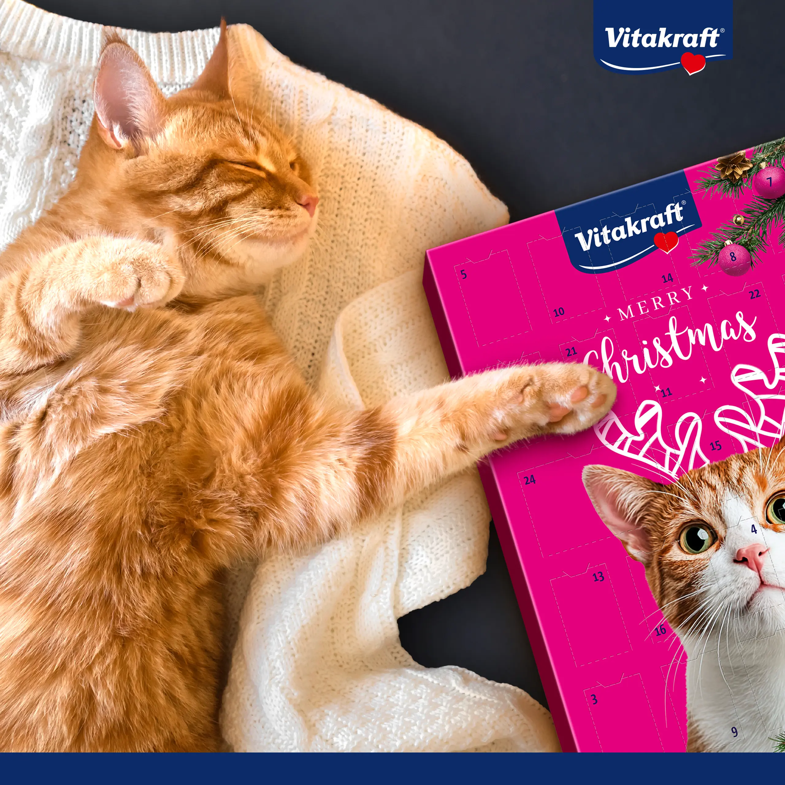 Vitakraft Julkalender Katt