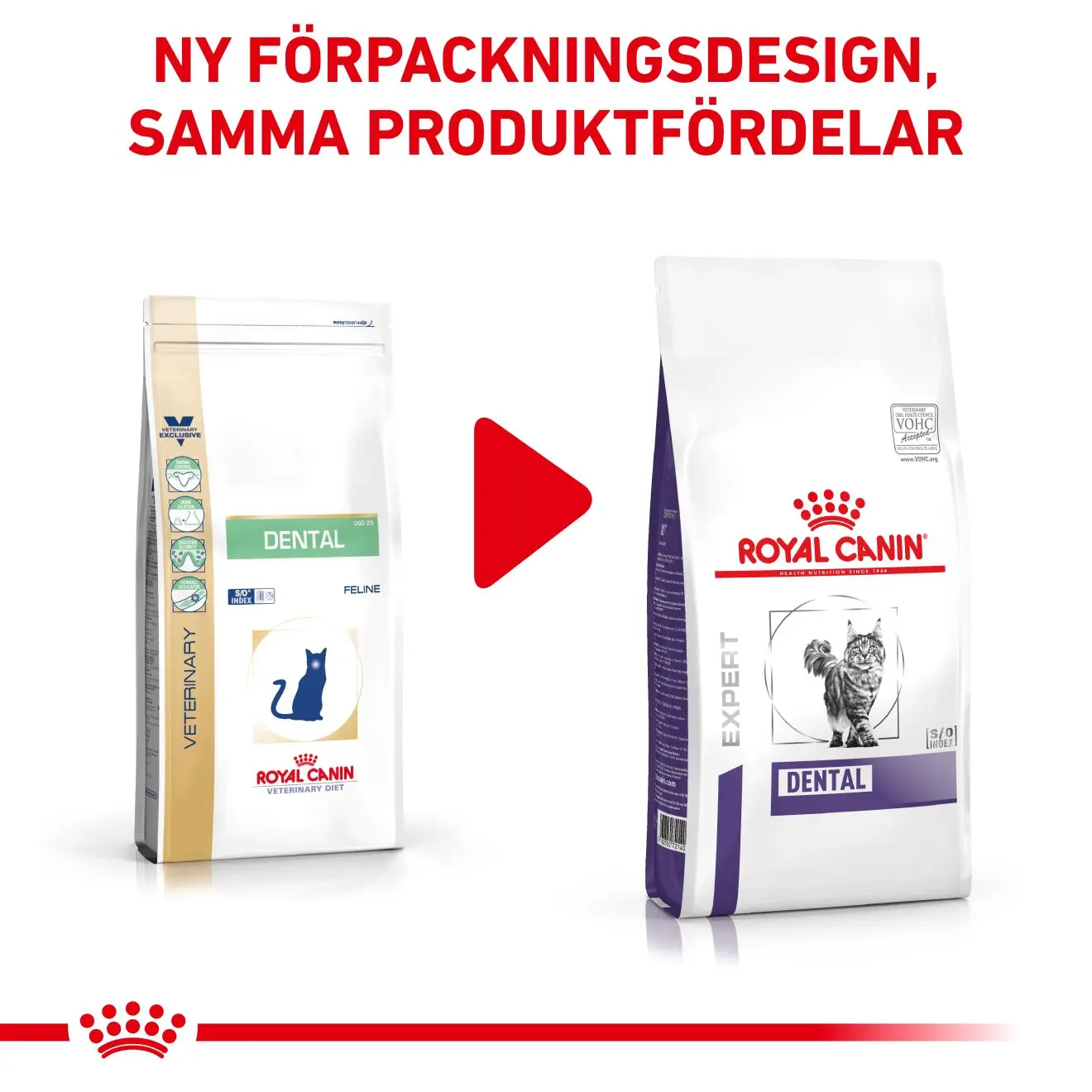 Dental kissan kuivaruoka