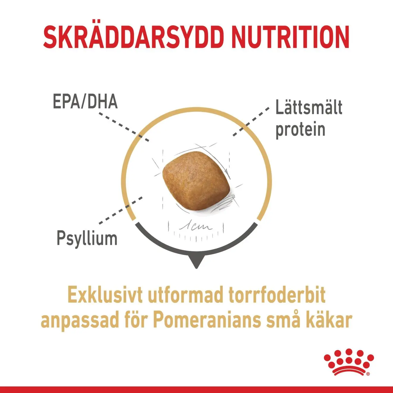 Pomeranian Adult Dry food koirille