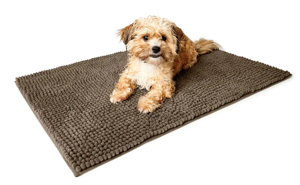 Mat Mud Flap Waterloo Polyester Light Brown