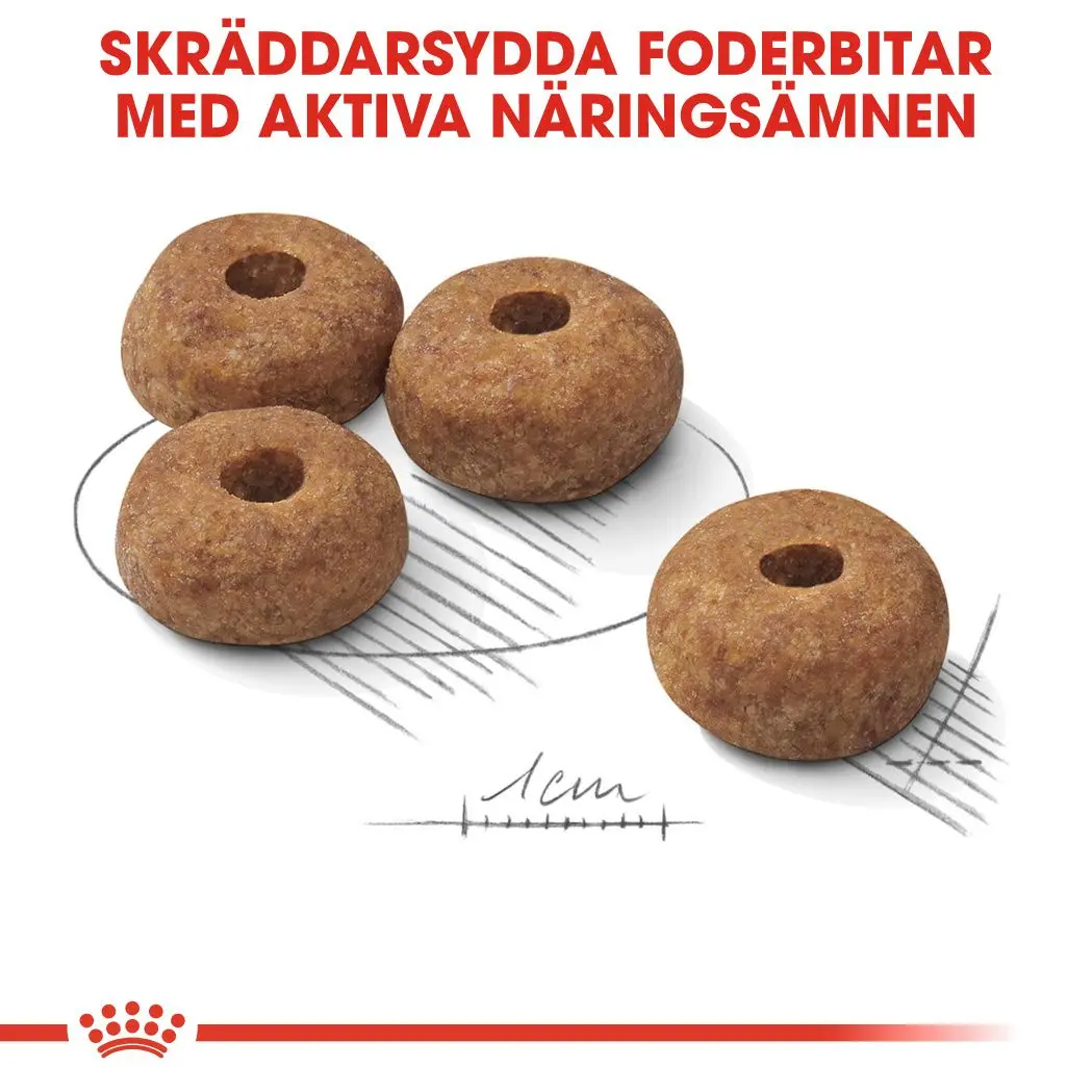 Steriloitu Adult Medium kuivaruoka koirille