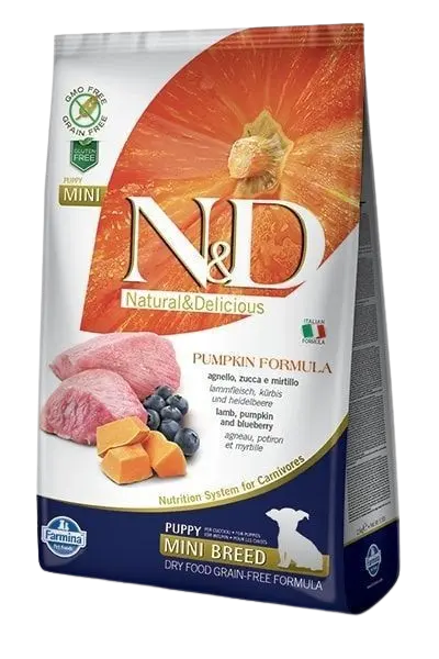 Dog N&D Pumpkin Lamb & Blueberry Puppy Mini 2,5 kg