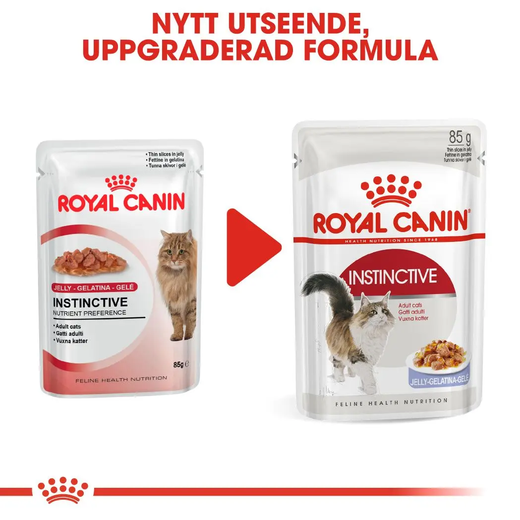 Instinctive Adult kissan märkäruoka hyytelössä