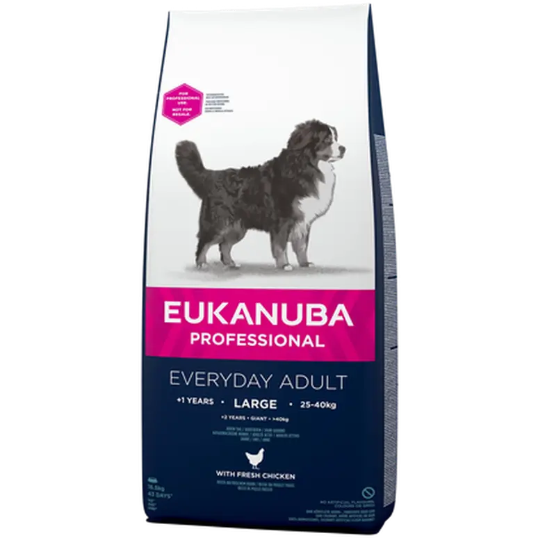 Dog Everyday Large