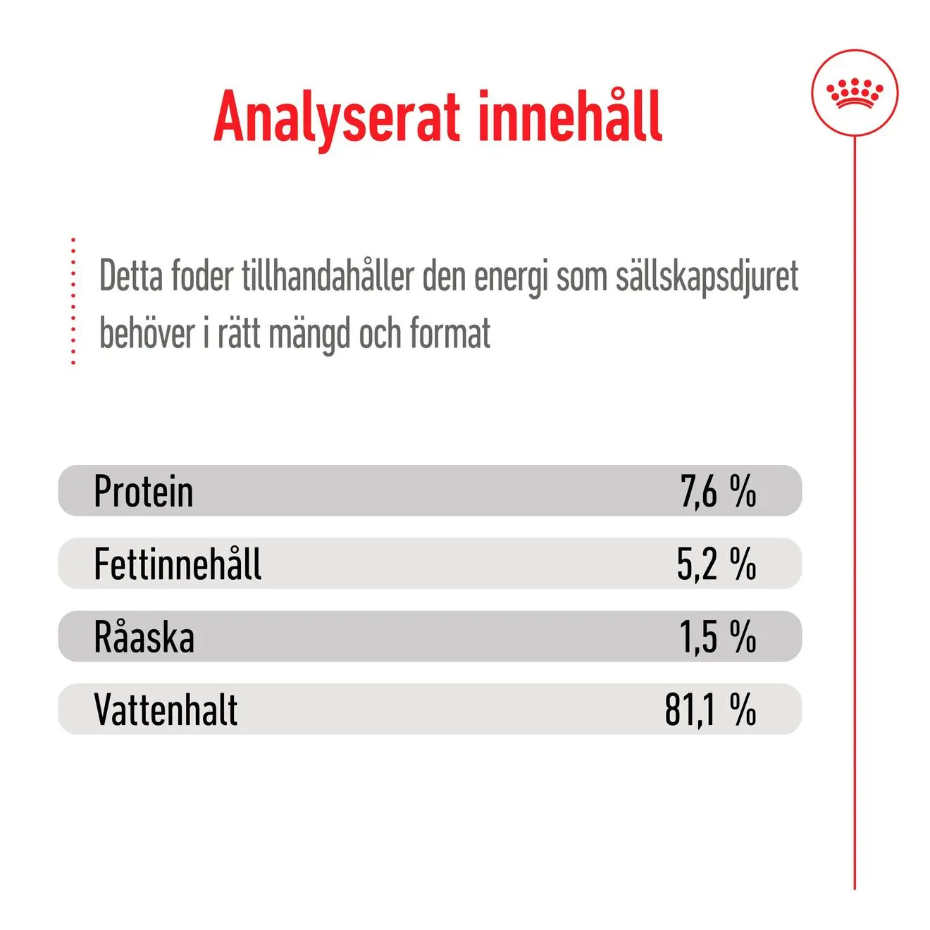 Mini Adult Märkäruoka koirille