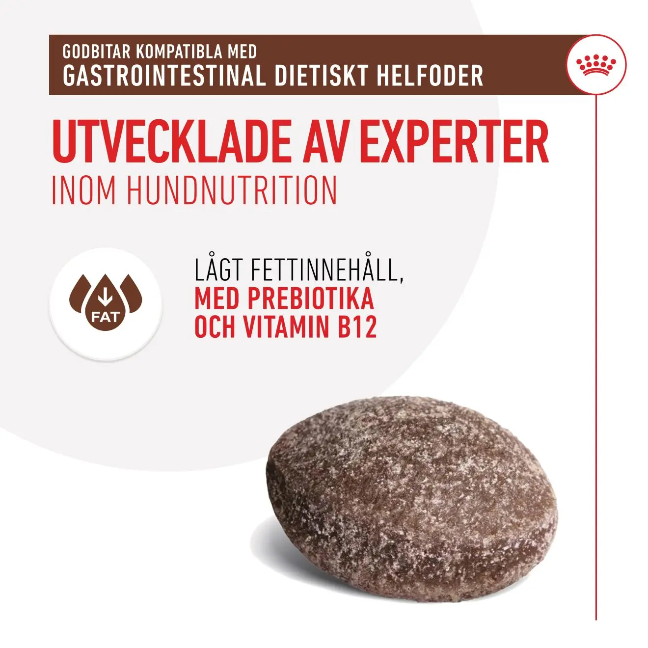 Royal Canin Veterinary Gastrointestinal Treats – godbidder til hund