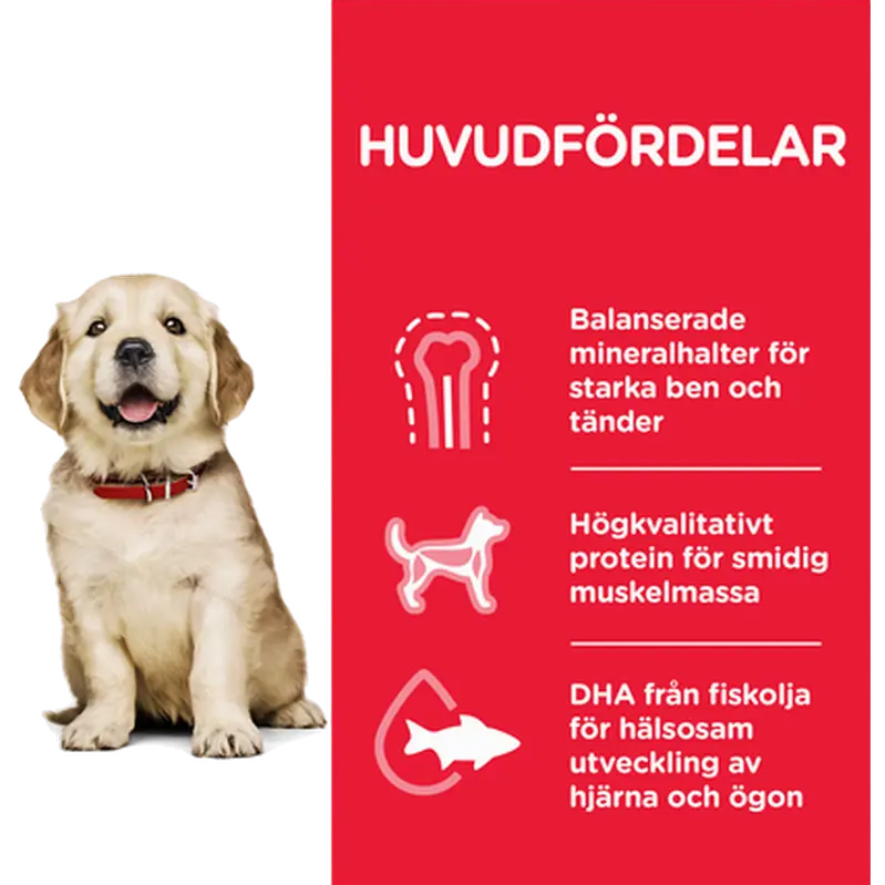 Puppy Healthy Development Large Breed Chicken - Dry Dog Food